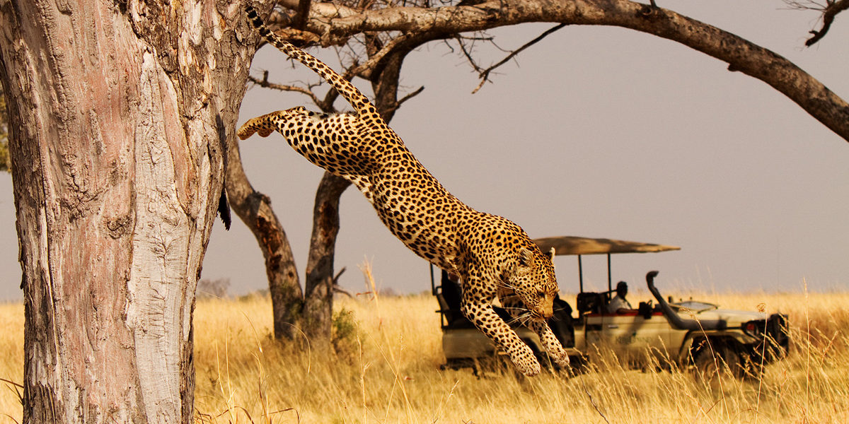 Akagera National Reserve
